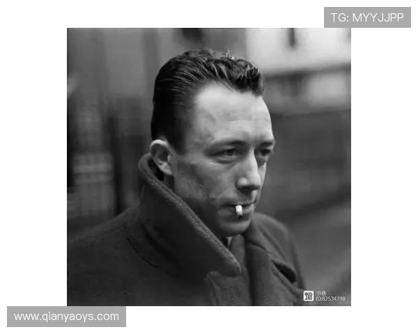 局外人：结局惊掉下巴！3个细节揭秘他为何走向绝望